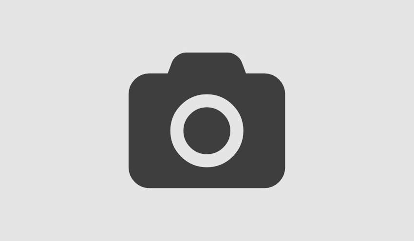 Fifth Article